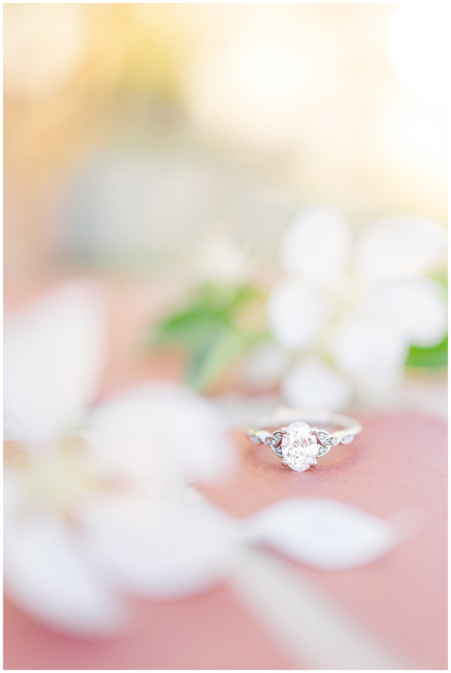 2021-05-18_0012.jpg 2021-05-18_0012.jpg